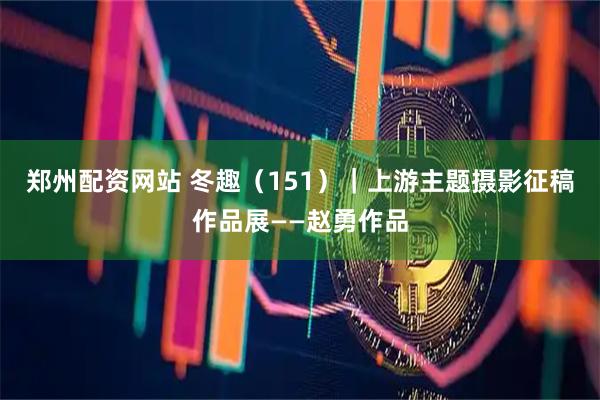 郑州配资网站 冬趣（151）｜上游主题摄影征稿作品展——赵勇作品
