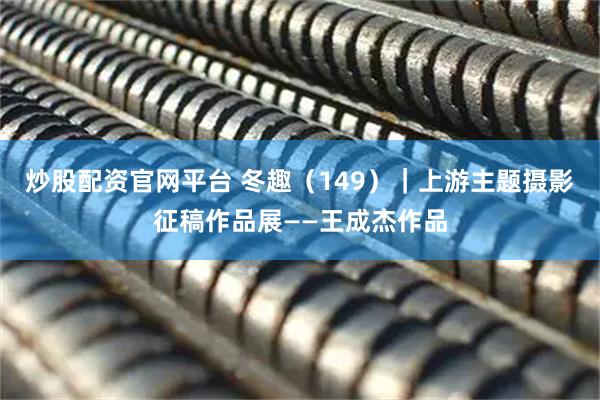炒股配资官网平台 冬趣（149）｜上游主题摄影征稿作品展——王成杰作品