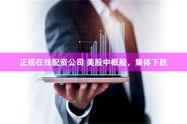 正规在线配资公司 美股中概股，集体下跌