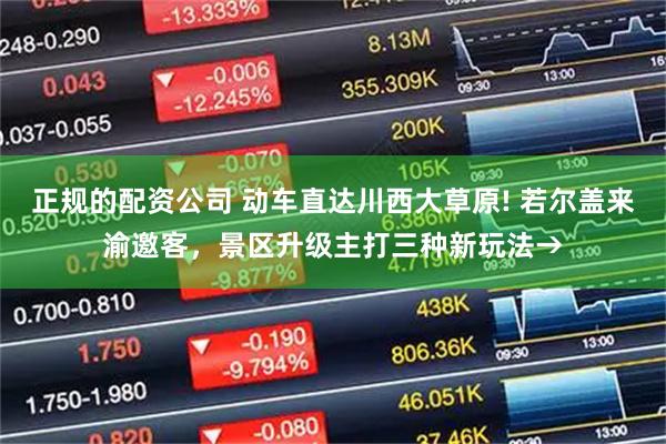 正规的配资公司 动车直达川西大草原! 若尔盖来渝邀客，景区升级主打三种新玩法→